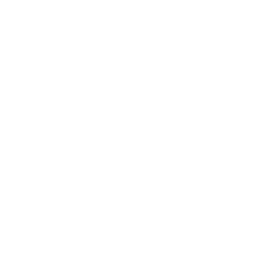 AI 人工智能模組